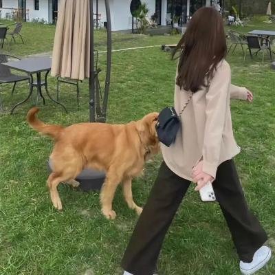 踢到宝